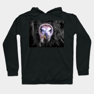 I got my beady eyes on you..! Hoodie